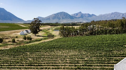 Natural landscape, View (from property/room), Mountain view