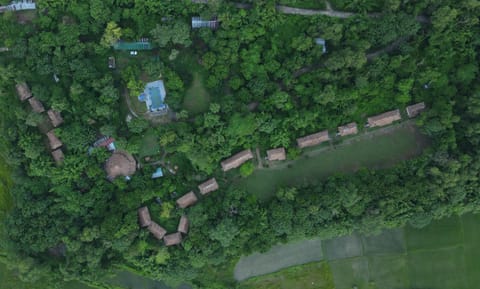 Natural landscape, Bird's eye view