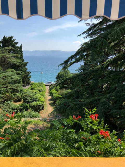 Summer, Garden, On site, Garden view, Sea view