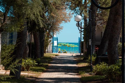 Natural landscape, Sea view