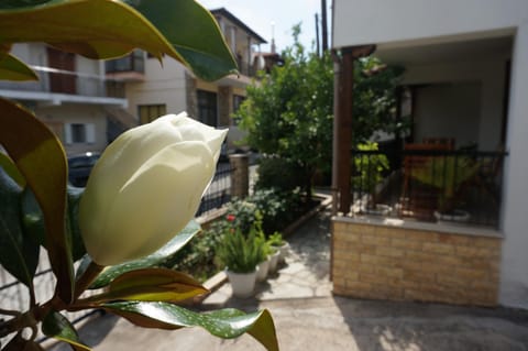 Garden, Balcony/Terrace
