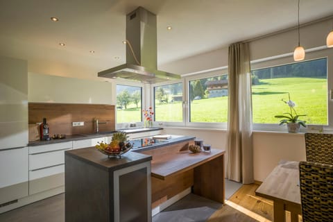 Kitchen or kitchenette, Dining area, stove