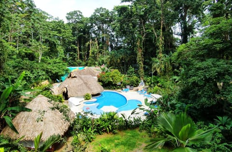 Bird's eye view, Pool view, Swimming pool, Swimming pool