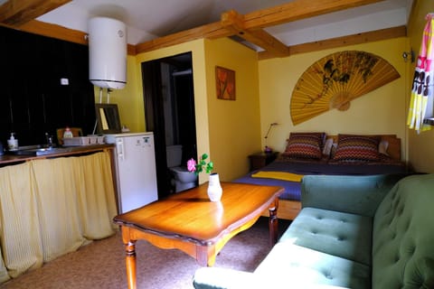 Living room, Photo of the whole room