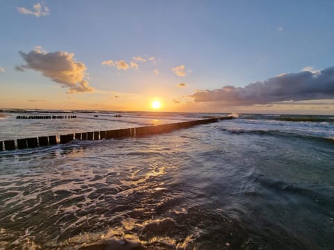 Natural landscape, Beach, Sunset