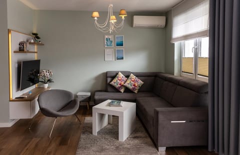 TV and multimedia, Living room, Seating area, air conditioner