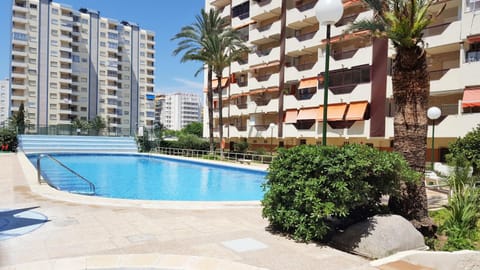 Garden, Swimming pool, Swimming pool