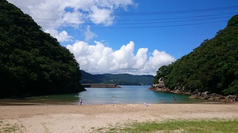 Natural landscape, Summer, Beach, Sea view