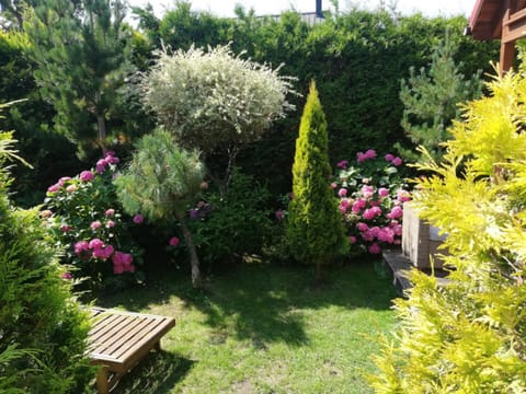 Domki Cyprys Nature lodge in Pomeranian Voivodeship