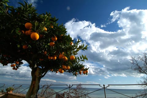 Casa Pazzi Dimora d'Epoca Apartment in Grottammare