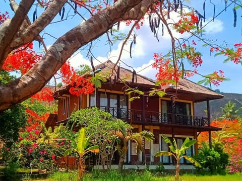 Property building, Day, Garden, Garden view