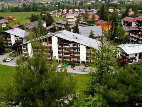 Off site, Bird's eye view, Summer