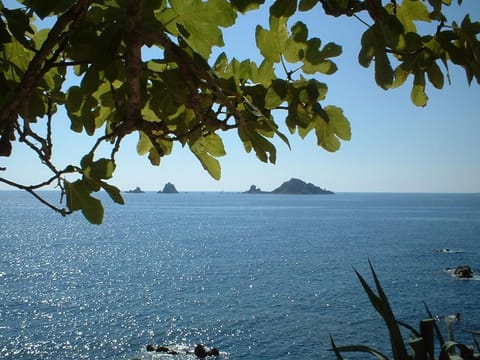 Natural landscape