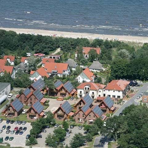 Area and facilities