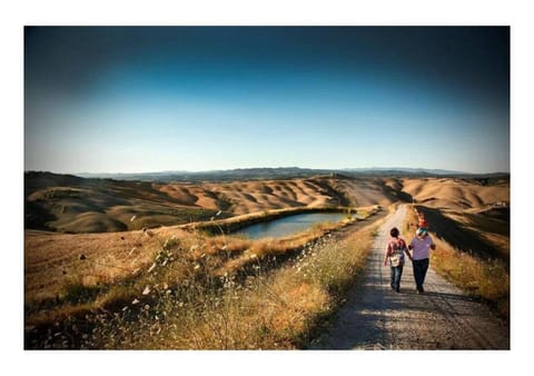 Nearby landmark, Natural landscape