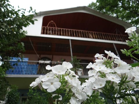 Property building, Garden view