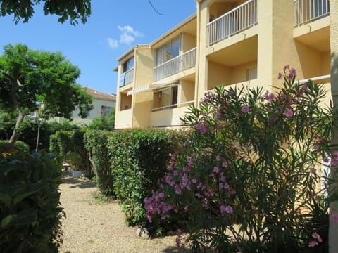 Property building, Garden, Garden view