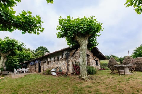 Property view