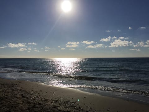 Sea view