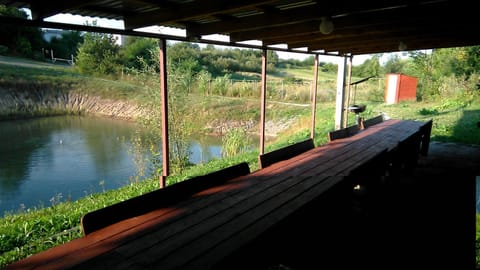 Lake view