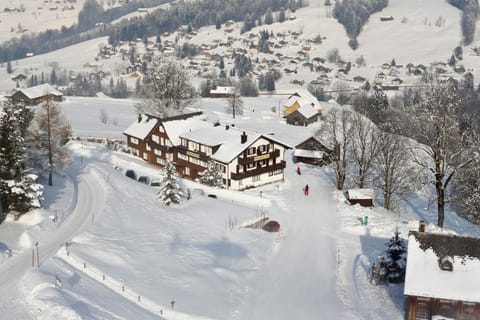Bird's eye view, Ski School, Skiing