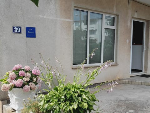 Apartman Vlado Apartment in Zadar