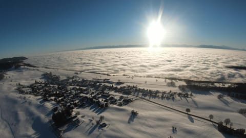 Bird's eye view, Winter, Sunrise