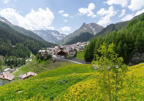 Summer, Mountain view