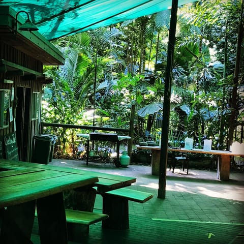 Patio, Spring, Day
