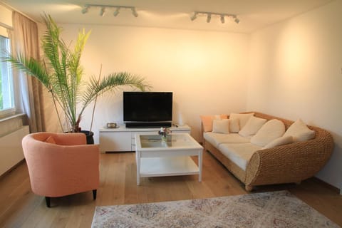 TV and multimedia, Living room, Photo of the whole room, Decorative detail, Seating area