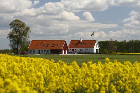 Property building, Spring