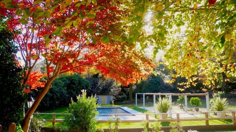 Spring, Natural landscape, Garden, Garden view