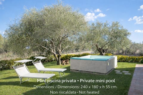 Garden, Swimming pool, sunbed