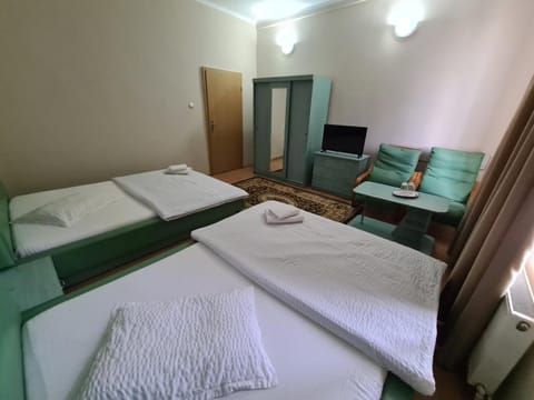 Mi Sian Mura Hotel in Timiș County