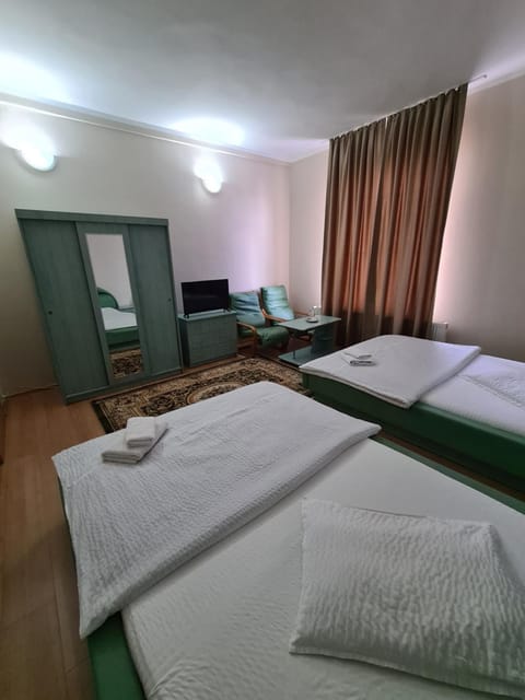 Mi Sian Mura Hotel in Timiș County