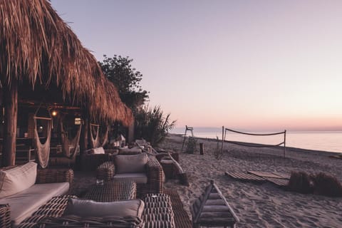 Lounge or bar