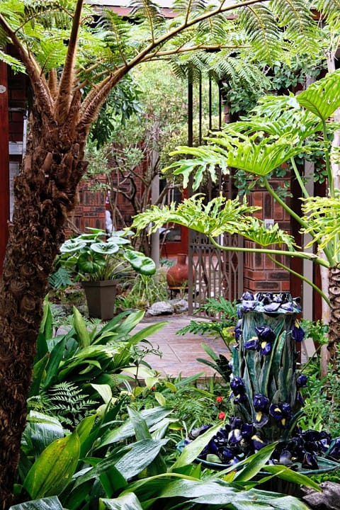 Kambaku @ Sea Bed and Breakfast in Eastern Cape