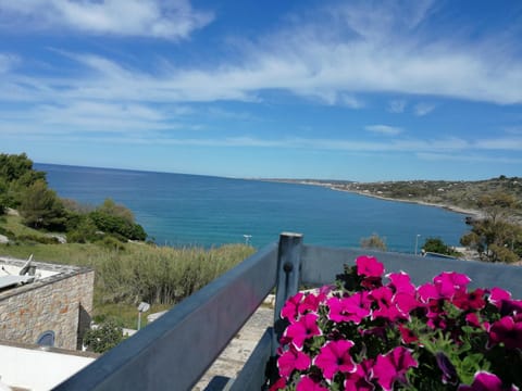 Day, Summer, Balcony/Terrace, On site, Sea view