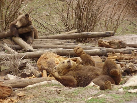 Apartman Lori Apartment in Lika-Senj County