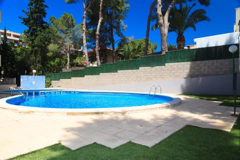 Garden, Swimming pool