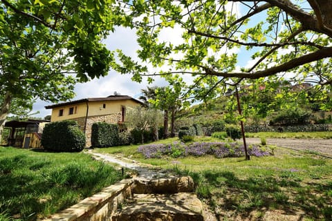 Facade/entrance, Garden view