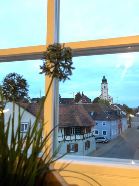 Wohnung 2 - nur 5 Fahrminuten vom Europapark Apartment in Ringsheim