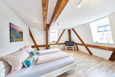 Wohnung 2 - nur 5 Fahrminuten vom Europapark Apartment in Ringsheim