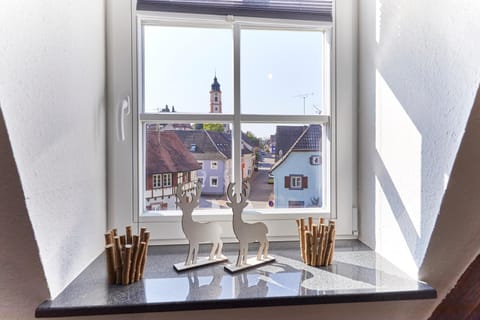 Wohnung 2 - nur 5 Fahrminuten vom Europapark Apartment in Ringsheim