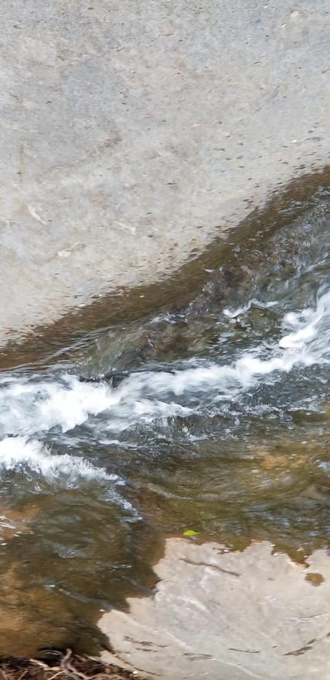 The Creek House House in Smyrna