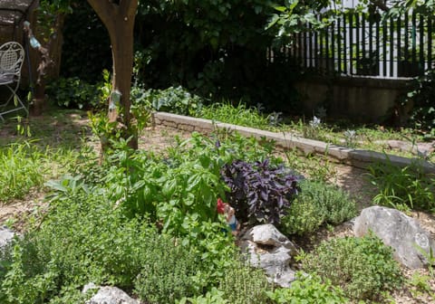 Garden, Decorative detail, On site, Garden view