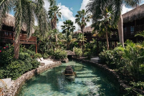 Garden, Swimming pool, sunbed
