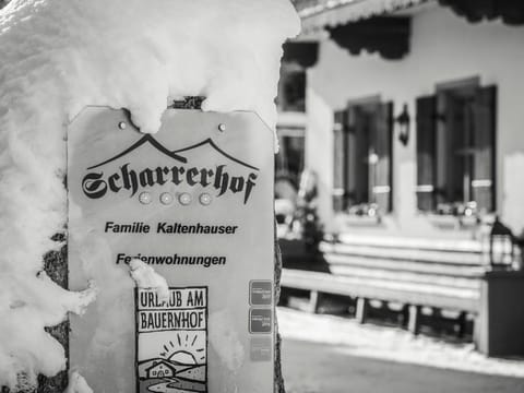 Inner courtyard view