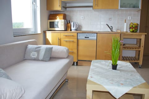 Kitchen or kitchenette, Living room