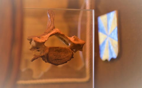 KLOOSTERSTRAAT40 Inn in Zottegem